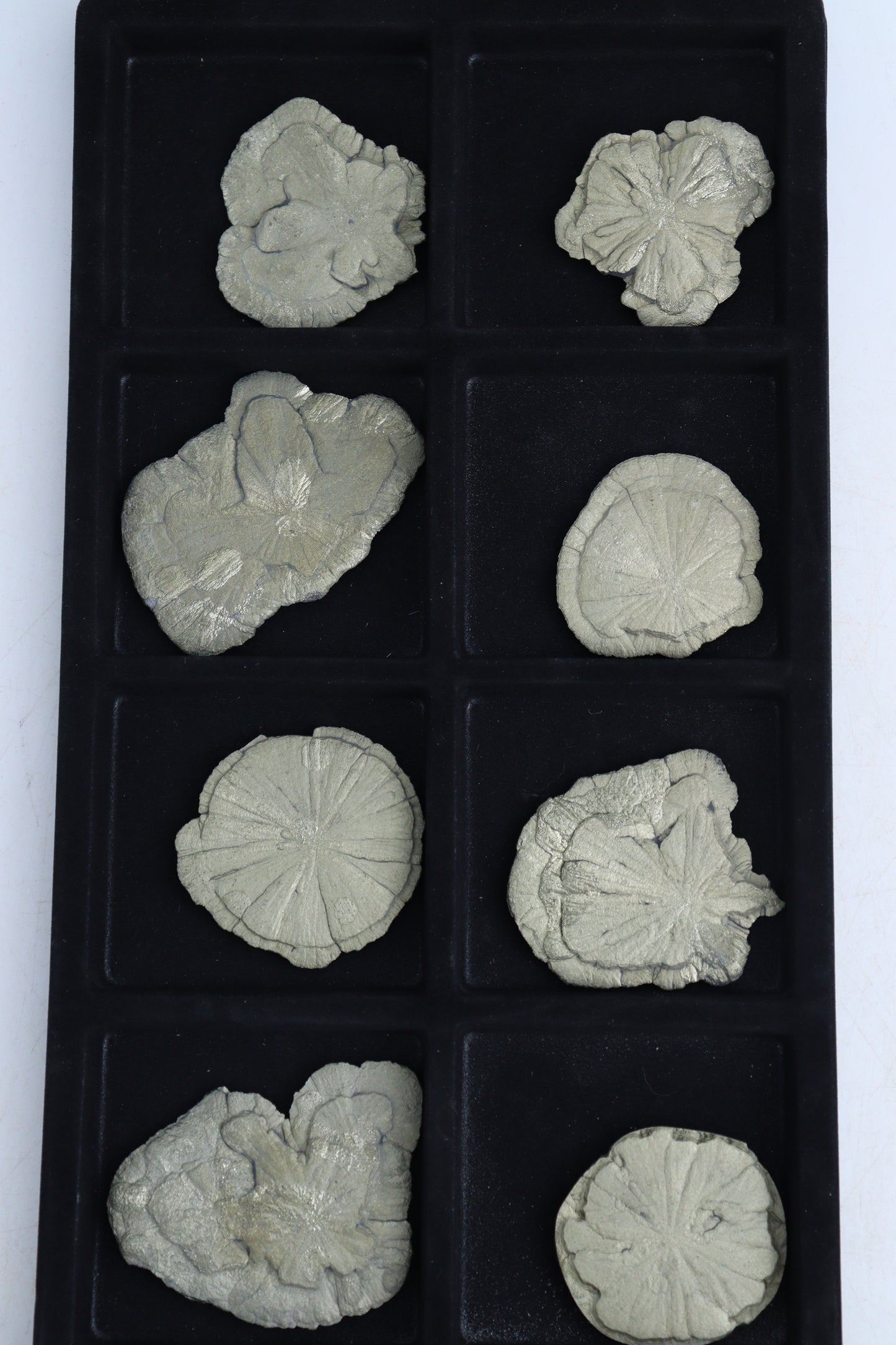 Pyrite Suns - Expert Supplier of Wholesale Crystals & Bulk Gemstones