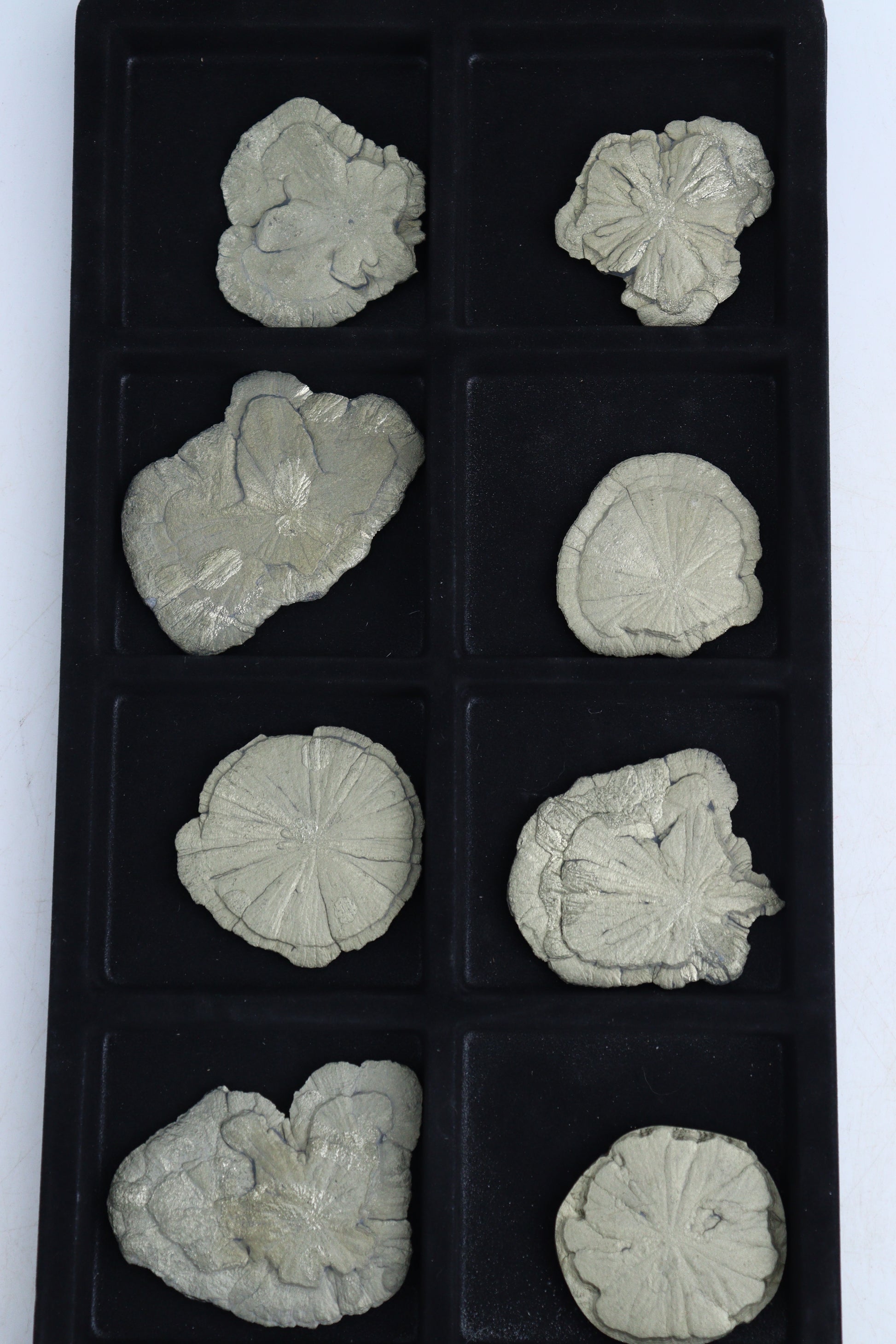 Pyrite Suns - Expert Supplier of Wholesale Crystals & Bulk Gemstones