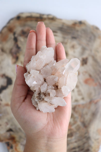 Quartz Flat