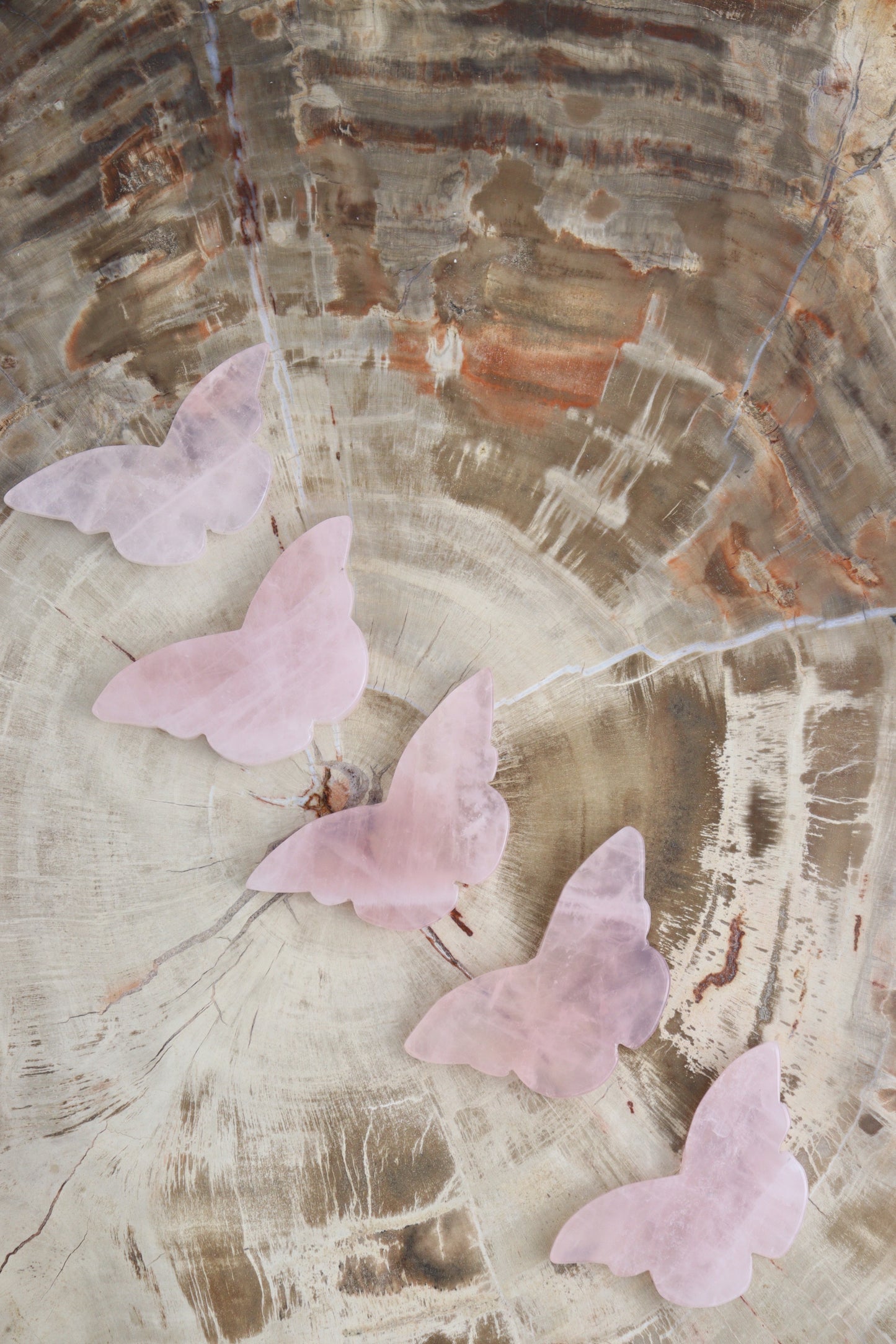 Rose Quartz Butterflies Set of 5