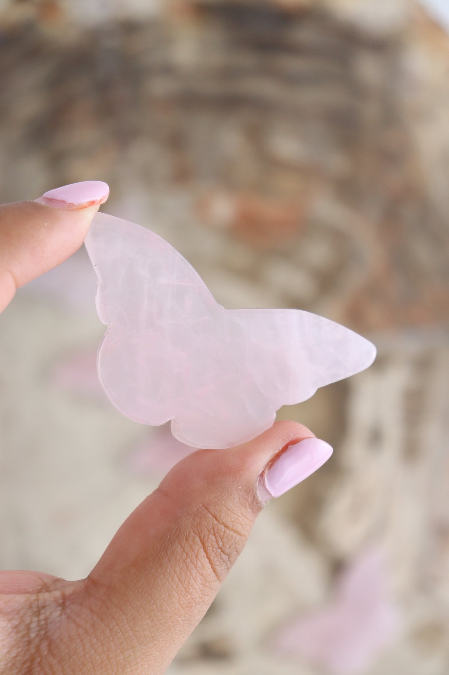 Rose Quartz Butterflies Set of 5