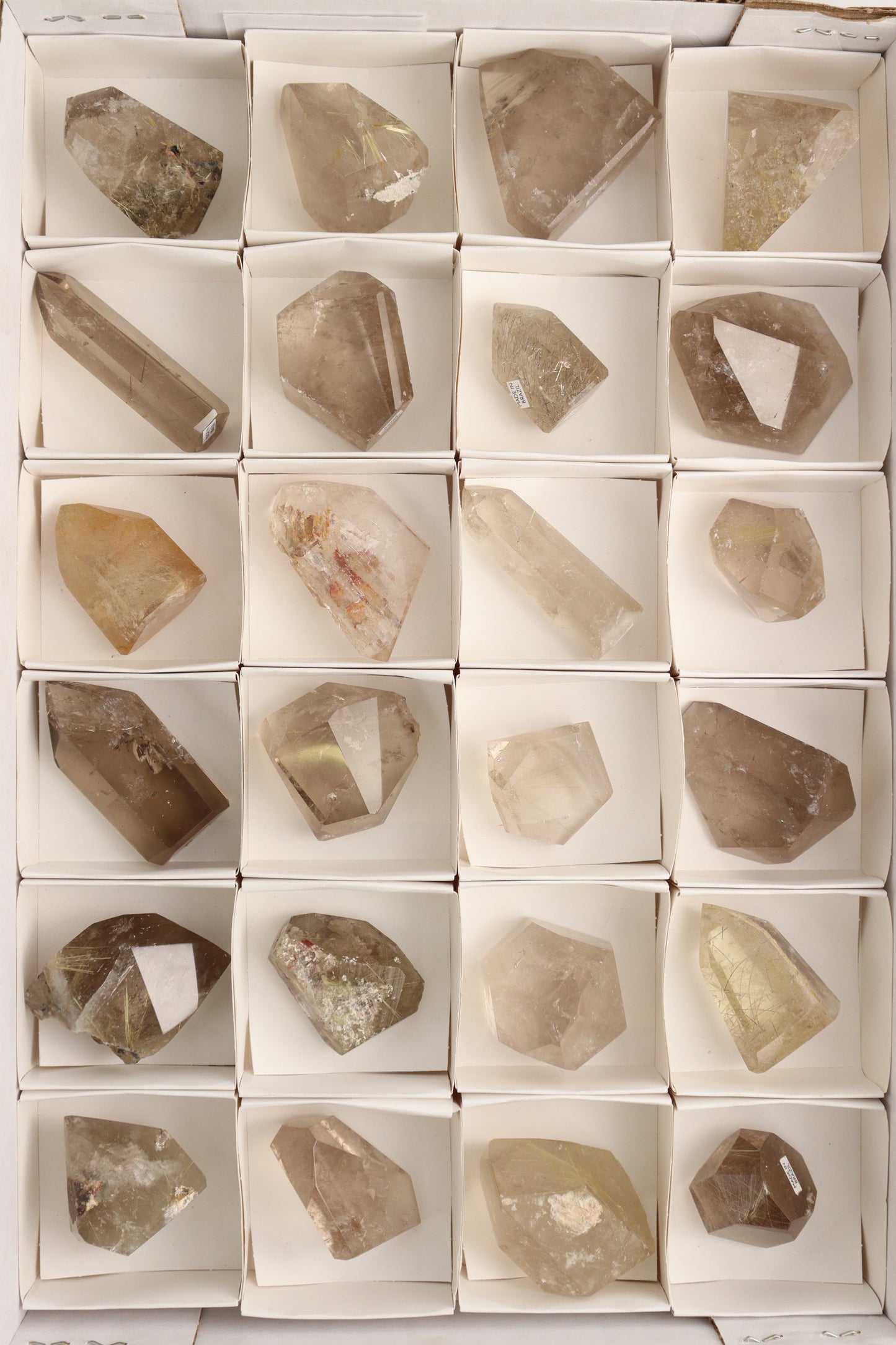 Rutilated Quartz Freeform Flat - Expert Supplier of Wholesale Crystals & Bulk Gemstones