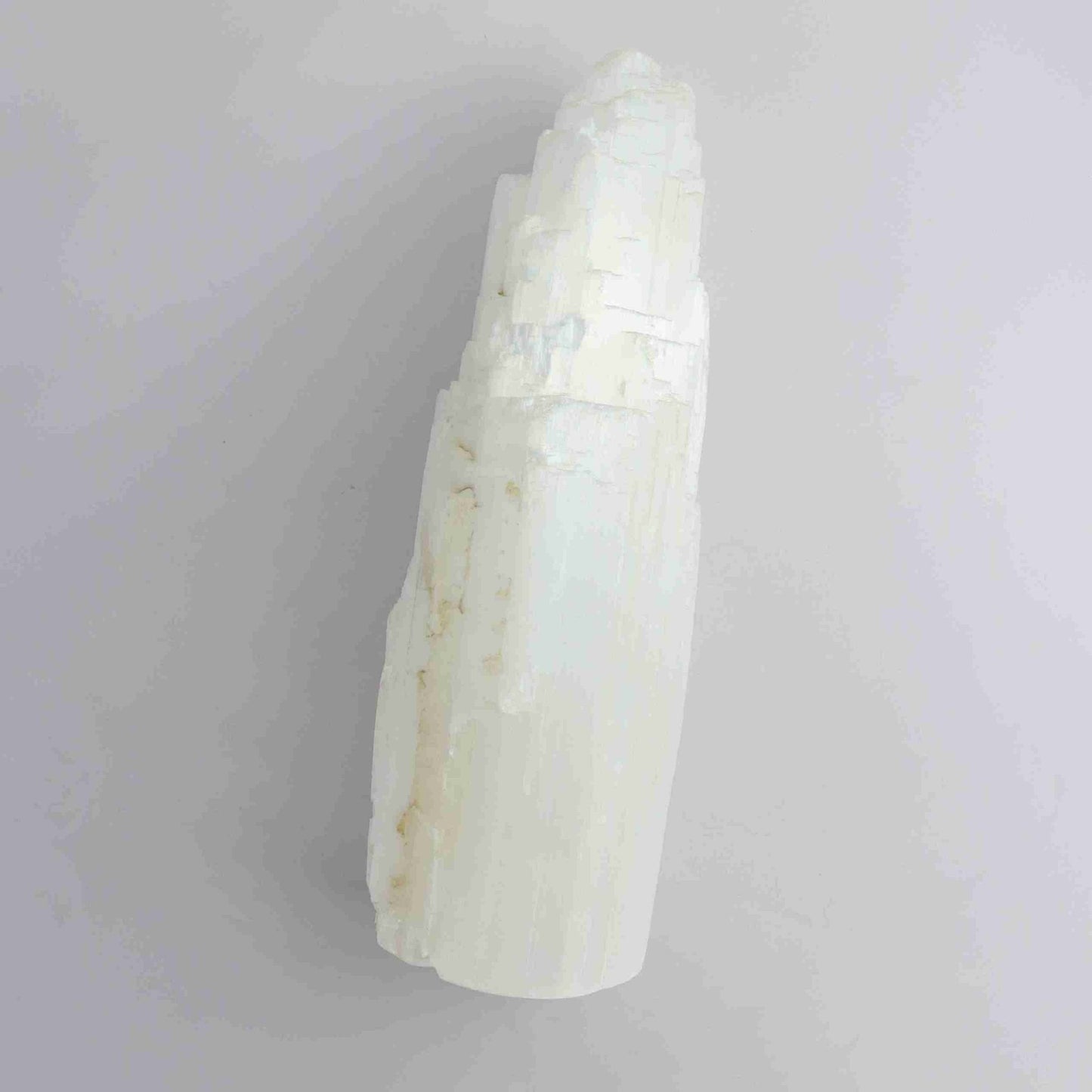 ONE Selenite/Satin Spar 25cm Rustic Lamp - Expert Vendor of Wholesale Crystals