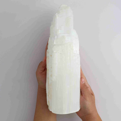 ONE Selenite/Satin Spar 25cm Rustic Lamp - Expert Vendor of Wholesale Crystals