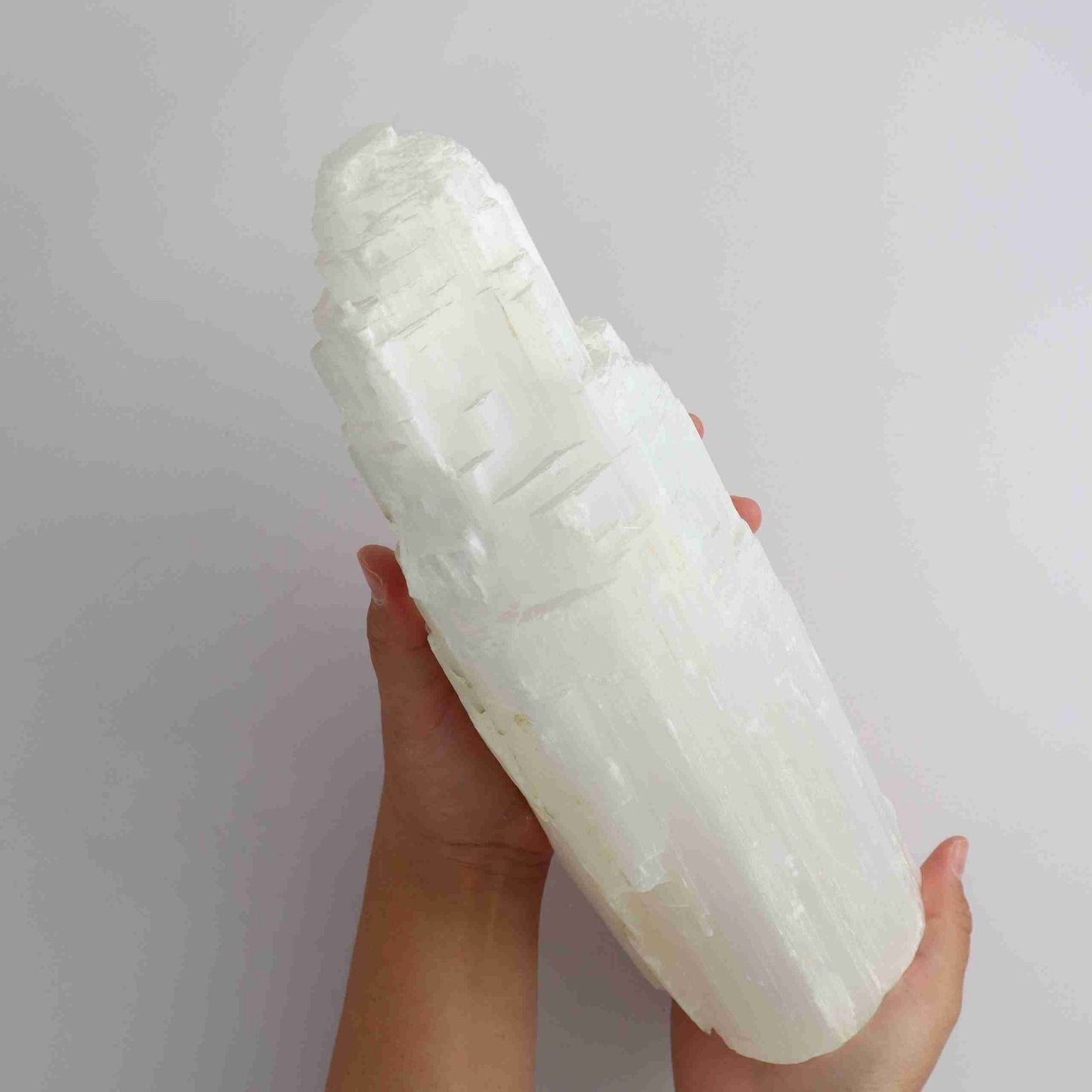 ONE Selenite/Satin Spar 25cm Rustic Lamp - Expert Vendor of Wholesale Crystals