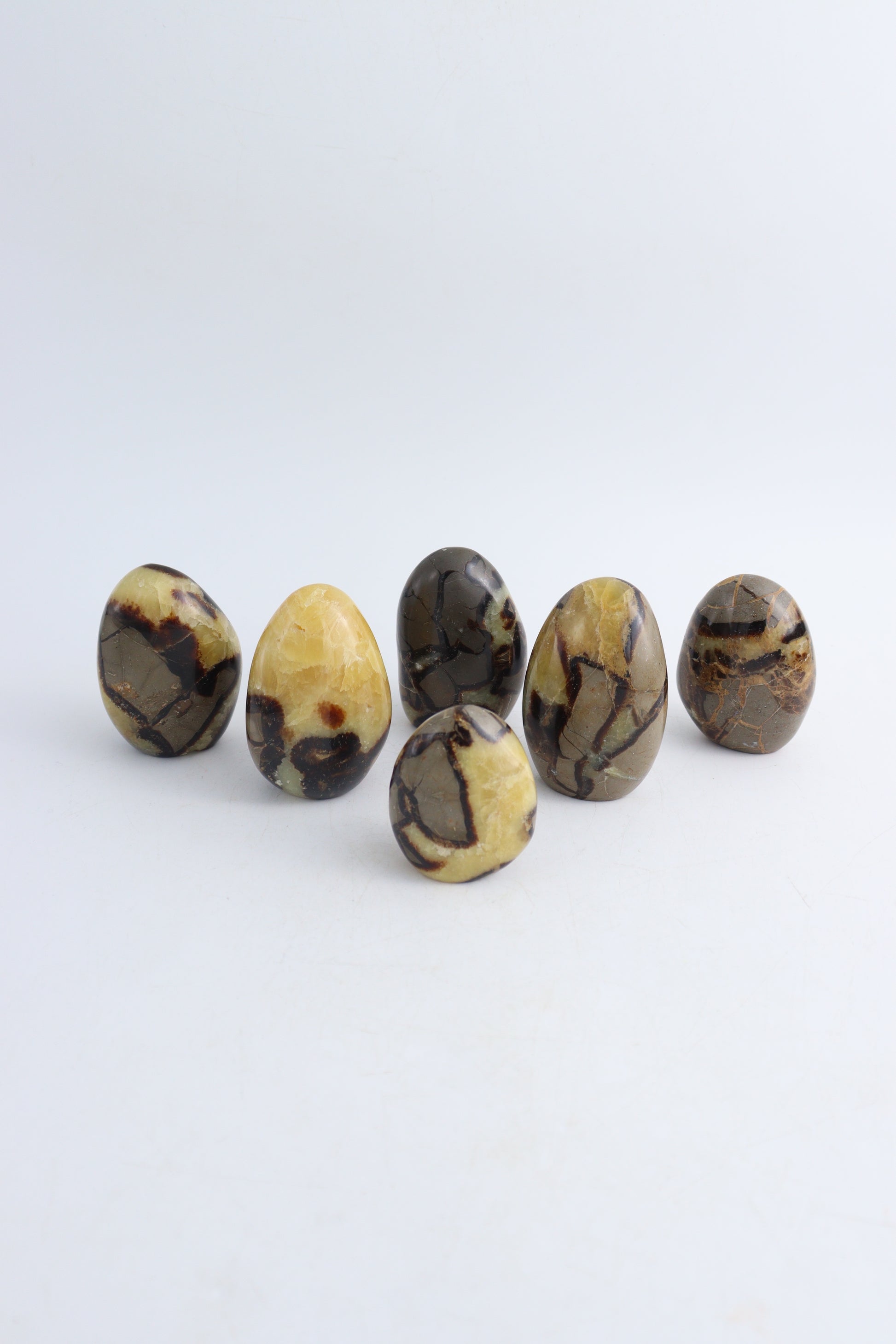 Septarian Freeforms - Expert Wholesale and Supplier of Wholesale Crystals & Bulk Gemstones, ["Freeforms","Mexico","Septarian"]