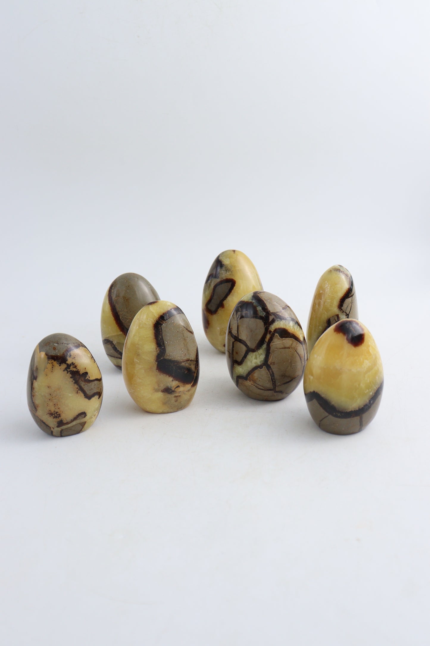 Septarian Freeforms - Expert Supplier of Wholesale Crystals & Bulk Gemstones