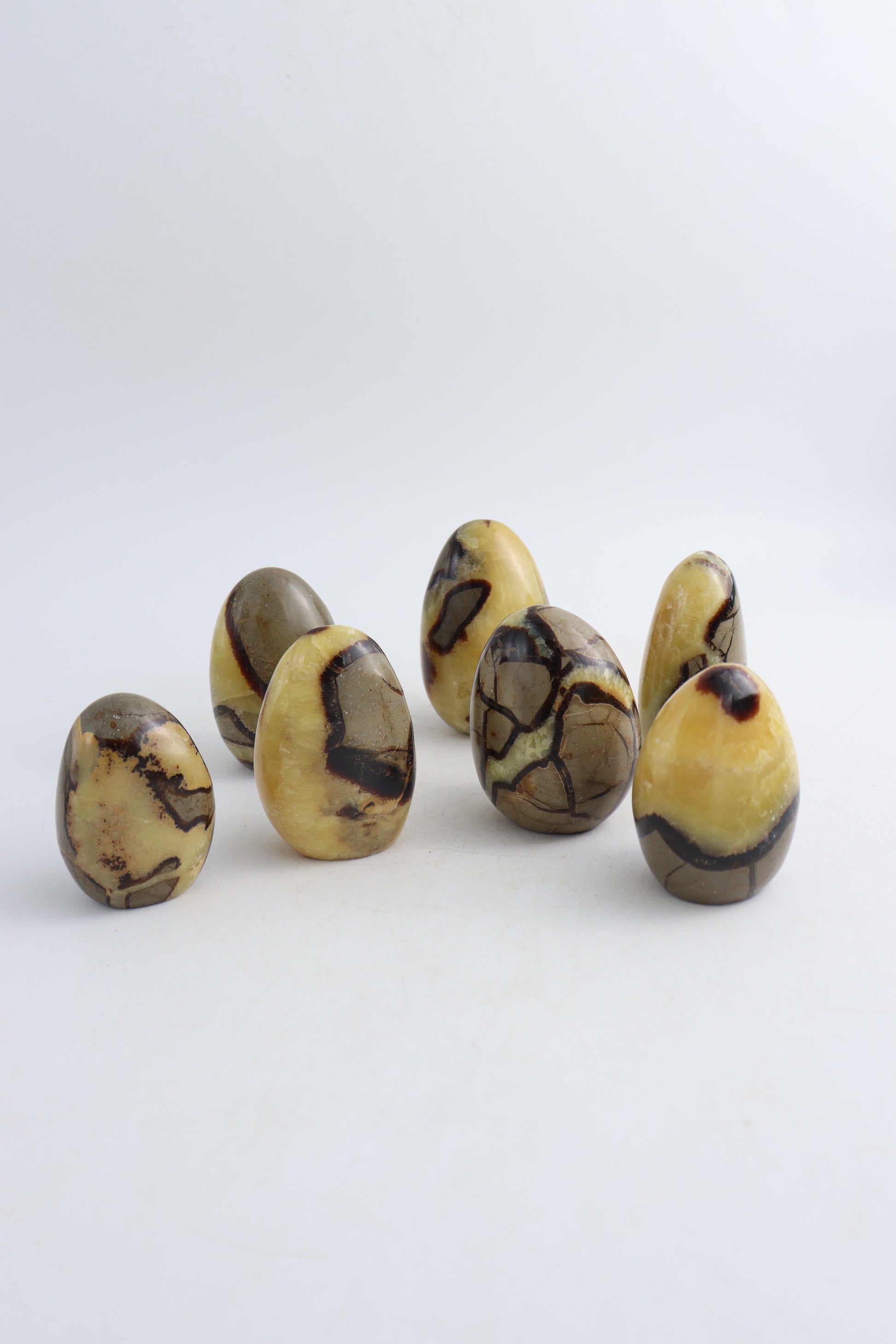 Septarian Freeforms - Expert Supplier of Wholesale Crystals & Bulk Gemstones