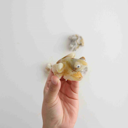 ONE Onyx Frog - Expert Wholesale and Supplier of Wholesale Crystals & Bulk Gemstones, ["Animal Carvings","Mexico","Onyx"]