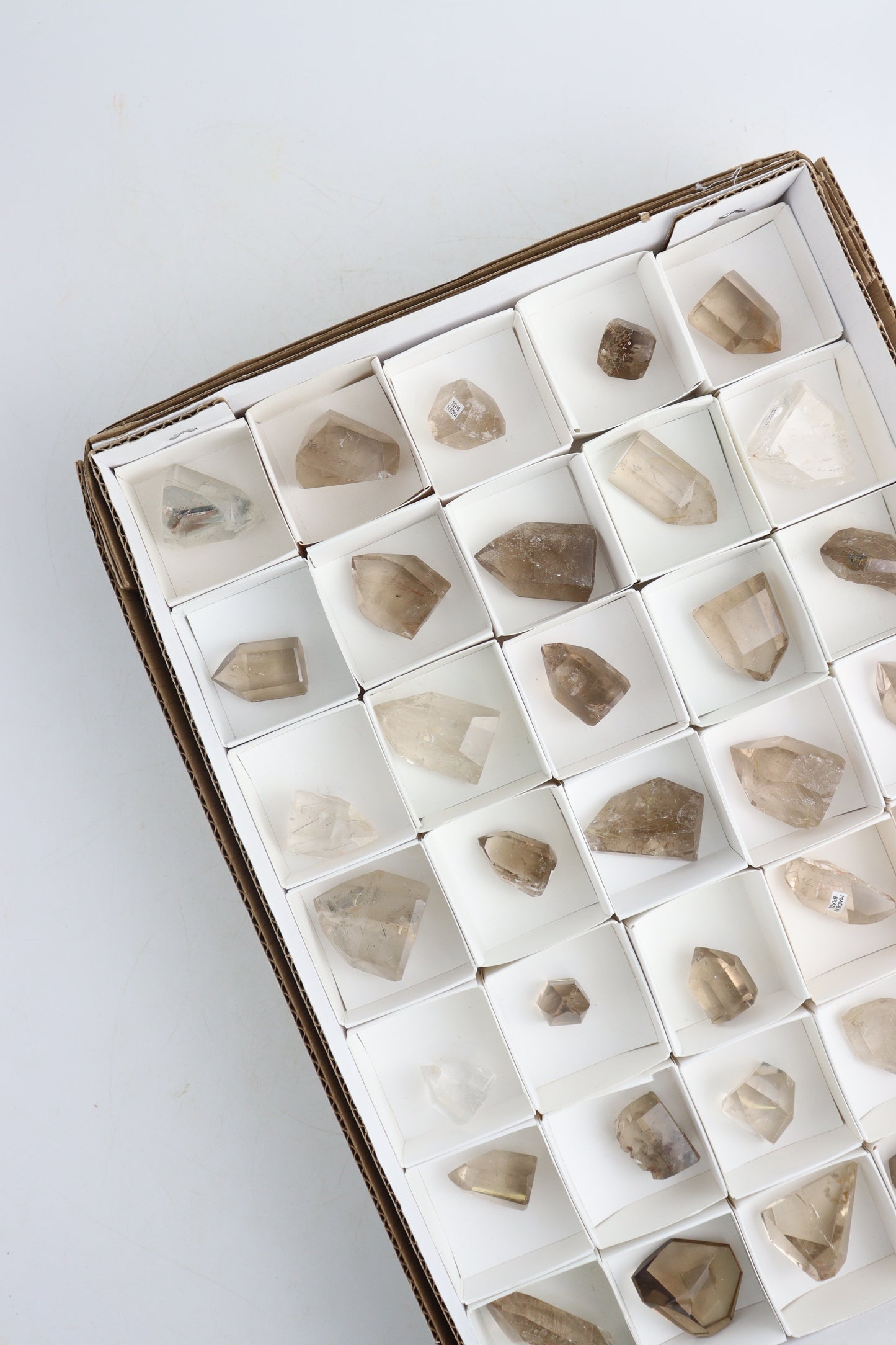 Smoky Quartz Freeforms - Expert Supplier of Wholesale Crystals & Bulk Gemstones