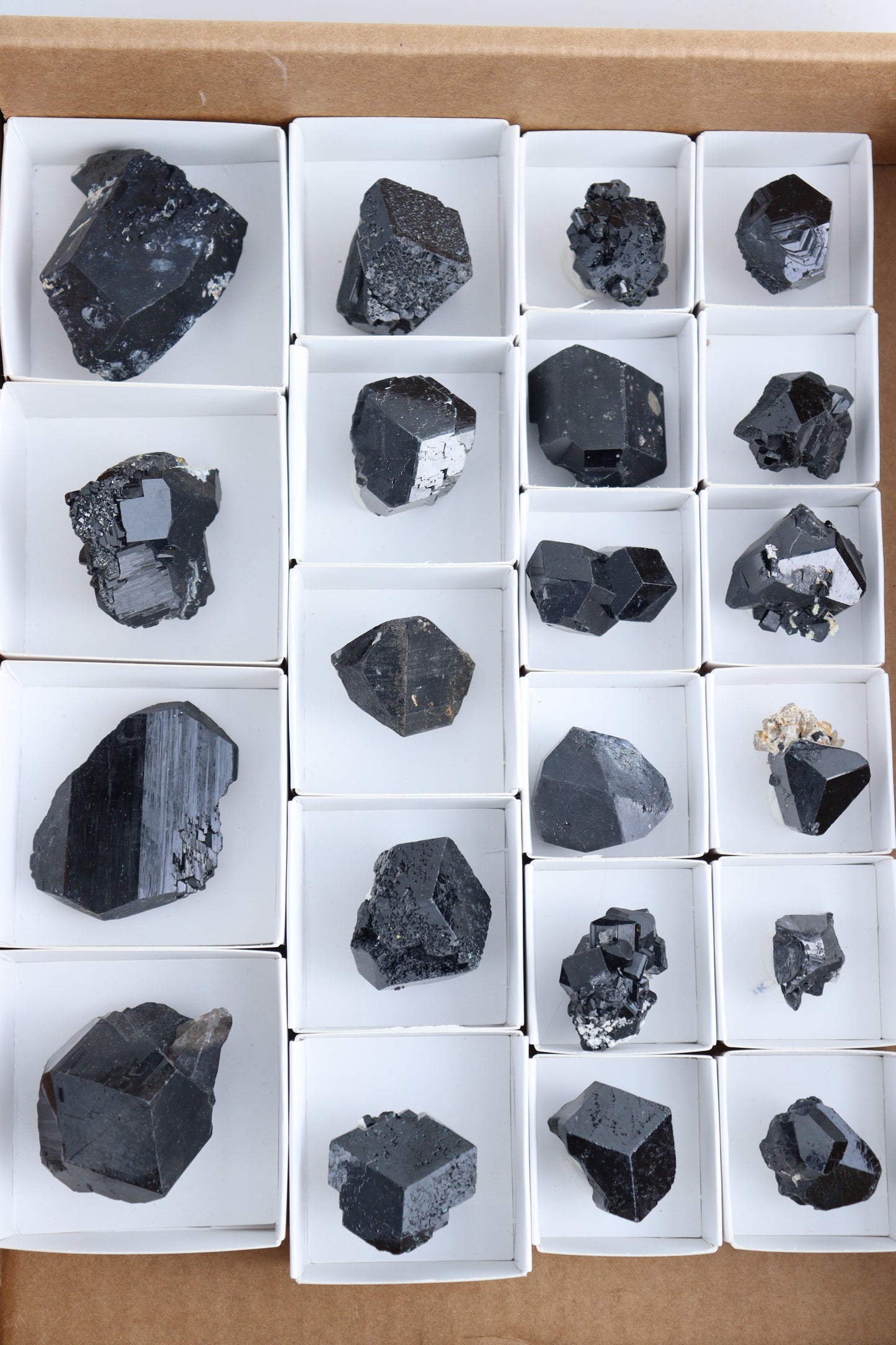 Schorl Tourmaline Flat - Expert Supplier of Wholesale Crystals & Bulk Gemstones