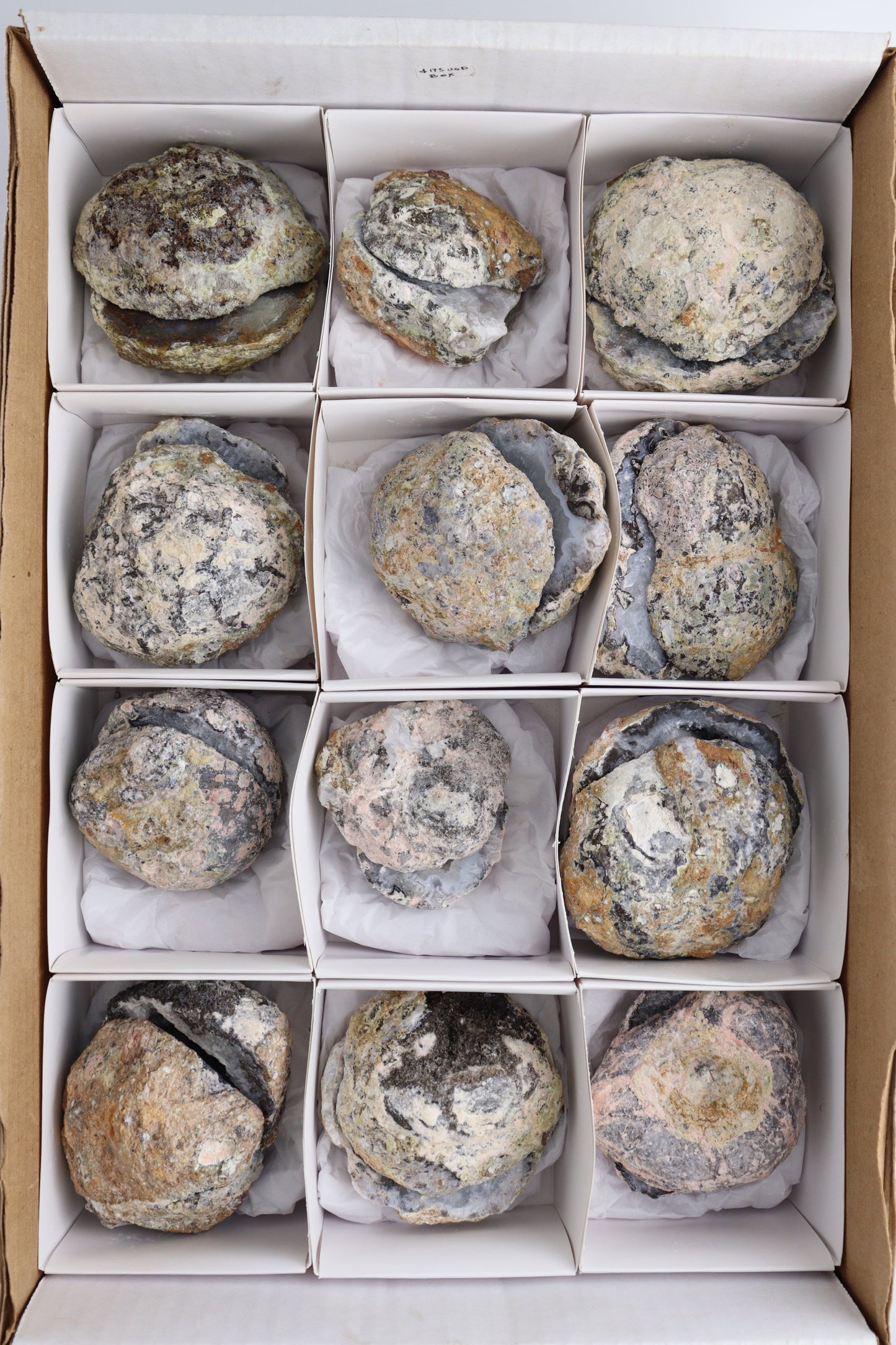 Half Red Geodes Flat - Expert Supplier of Wholesale Crystals & Bulk Gemstones