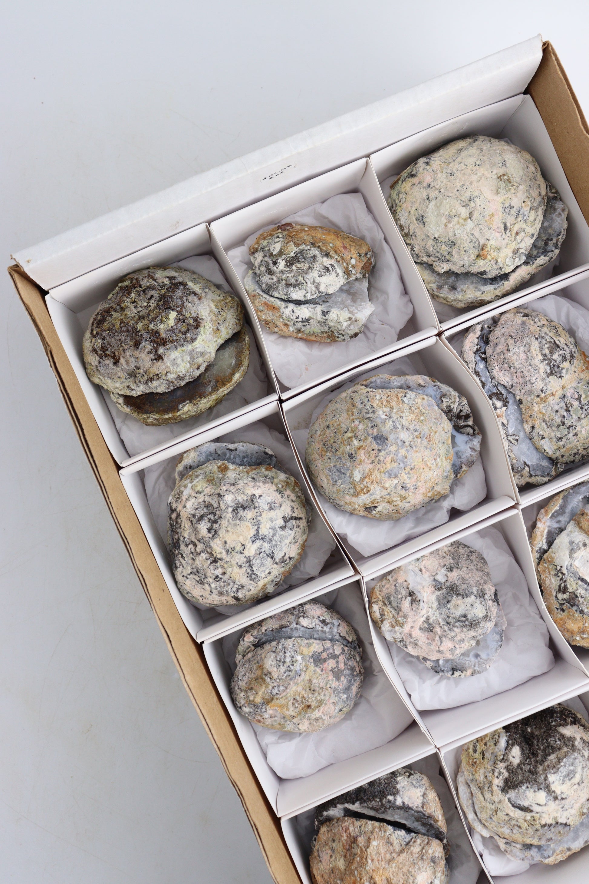 Half Red Geodes Flat - Expert Supplier of Wholesale Crystals & Bulk Gemstones