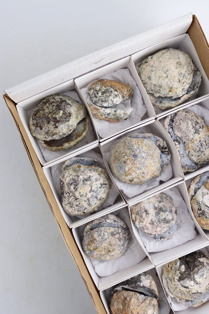 Half Red Geodes Flat - Expert Supplier of Wholesale Crystals & Bulk Gemstones