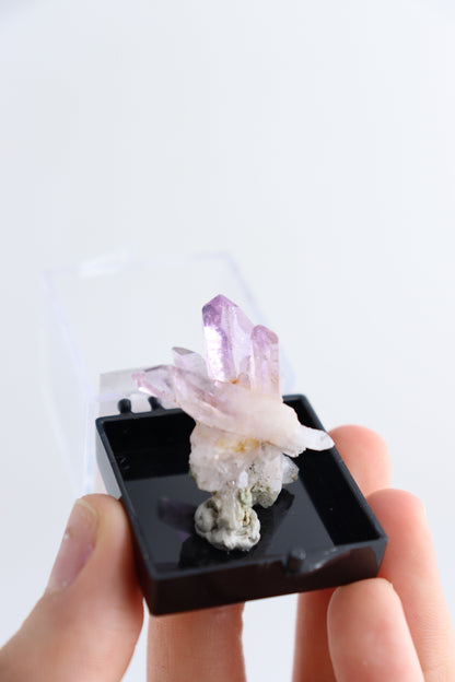 Veracruz Amethyst Clusters Individually Boxed