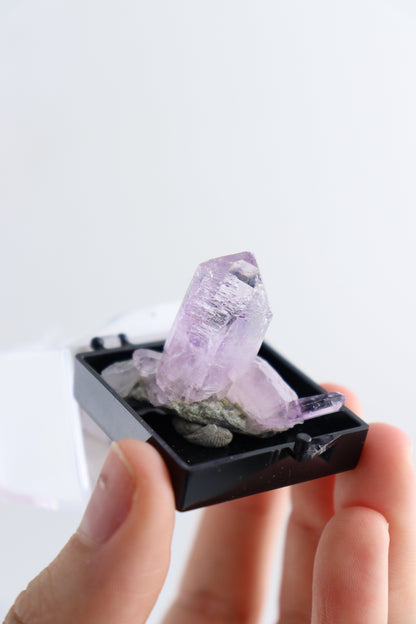 Veracruz Amethyst Clusters Individually Boxed