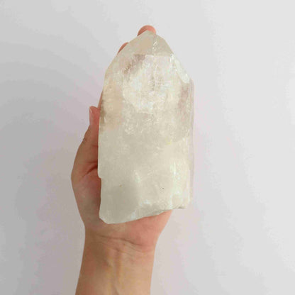 Semi Polished Lemurian