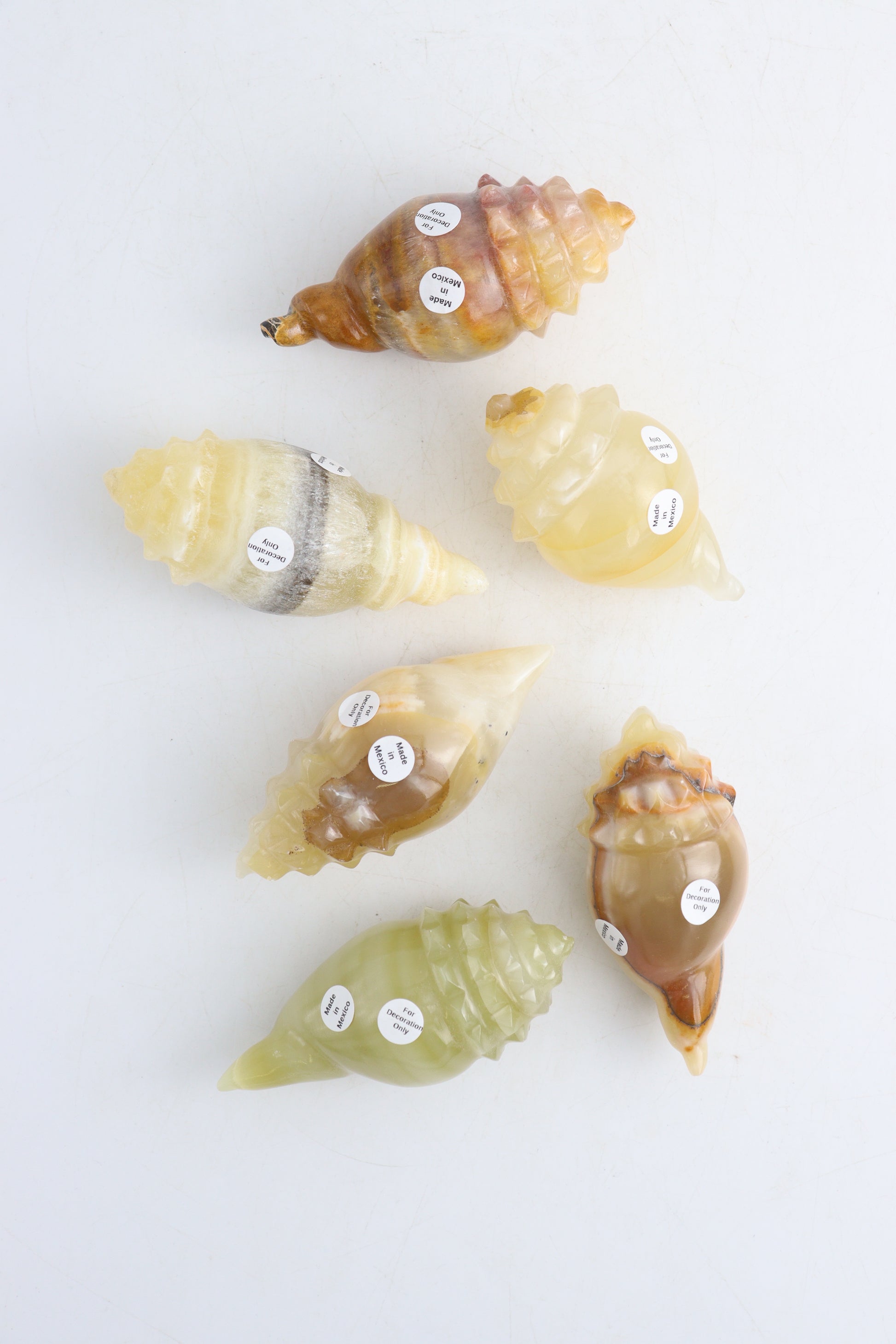 Onyx Shells - Expert Supplier of Wholesale Crystals & Bulk Gemstones