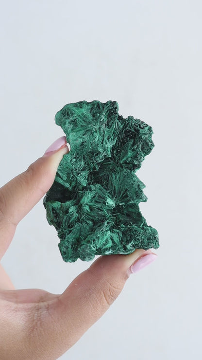 Malachite Flat