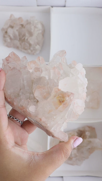 Pink Lemurian