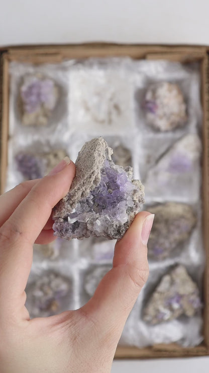 Tule Fluorite Cluster Flat