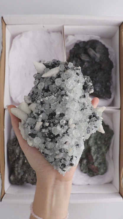 Mixed Mexican Minerals Flat