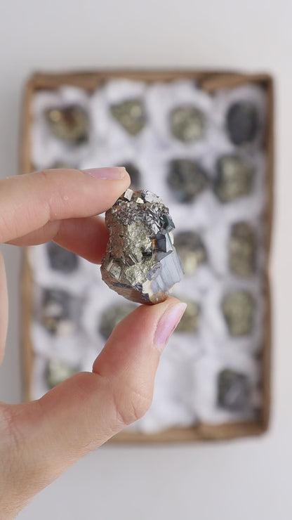 Pyrite with Galena Cluster Flat