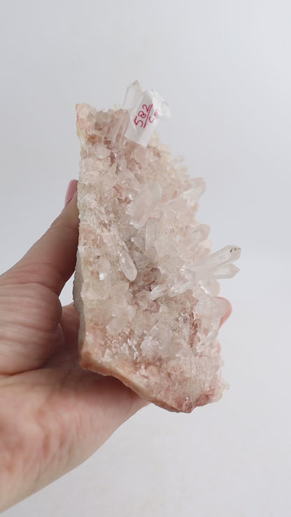 Himalayan Quartz Cluster