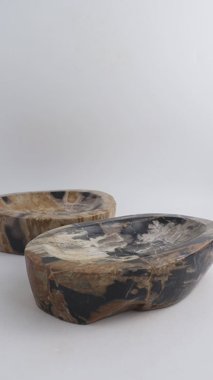 Petrified Wood Bowls