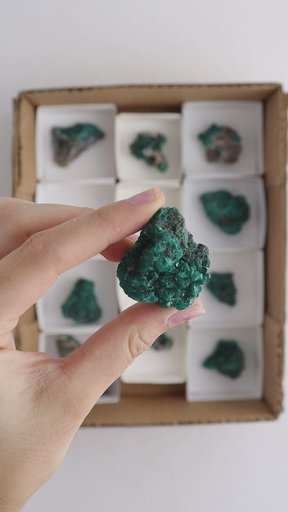 Dioptase Cluster Flat