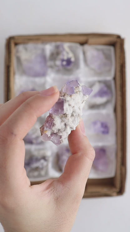 Tule Fluorite Cluster Flat