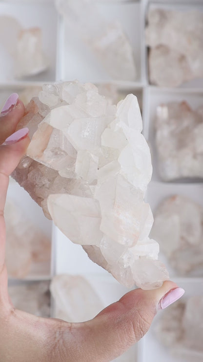 Pink Lemurian Flats