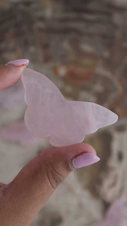 Rose Quartz Butterflies Set of 5