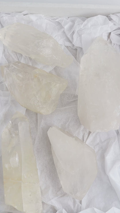 Lemurian Set of 5