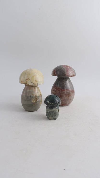 Polychrome Jasper Mushrooms