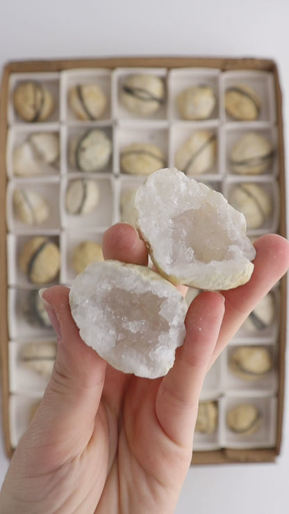 Calcite Cut Geodes Flat