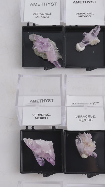 Veracruz Amethyst Clusters Individually Boxed