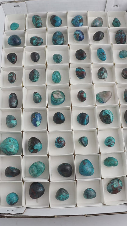 Chrysocolla Tumbles