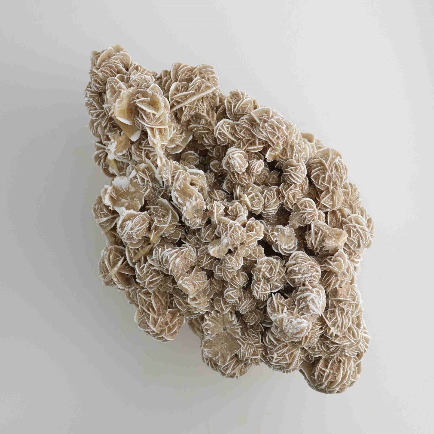 Desert Rose Clulster - Expert Wholesale and Supplier of Wholesale Crystals & Bulk Gemstones, ["Clusters","Desert Rose","Mexico"]