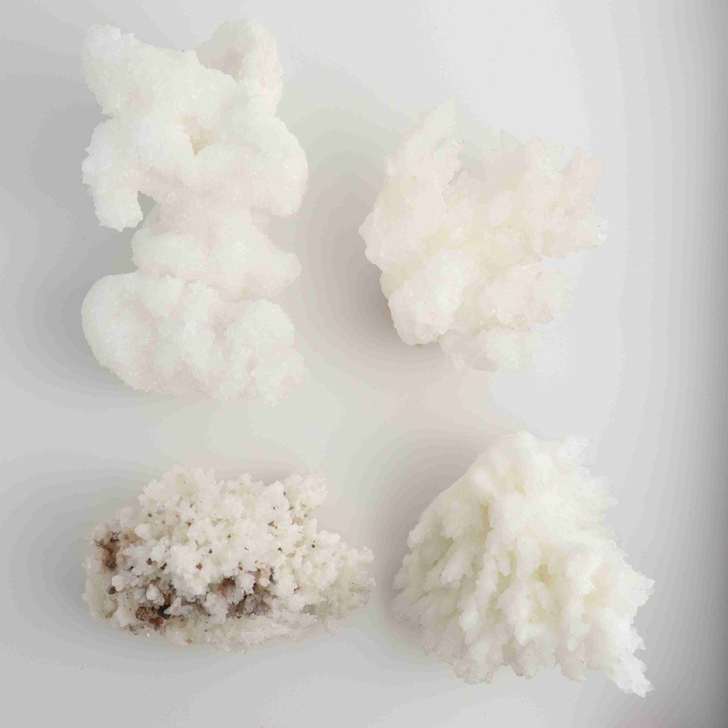 Mexican Aragonite - Expert Wholesale and Supplier of Wholesale Crystals & Bulk Gemstones, ["Mexico","Rough"]