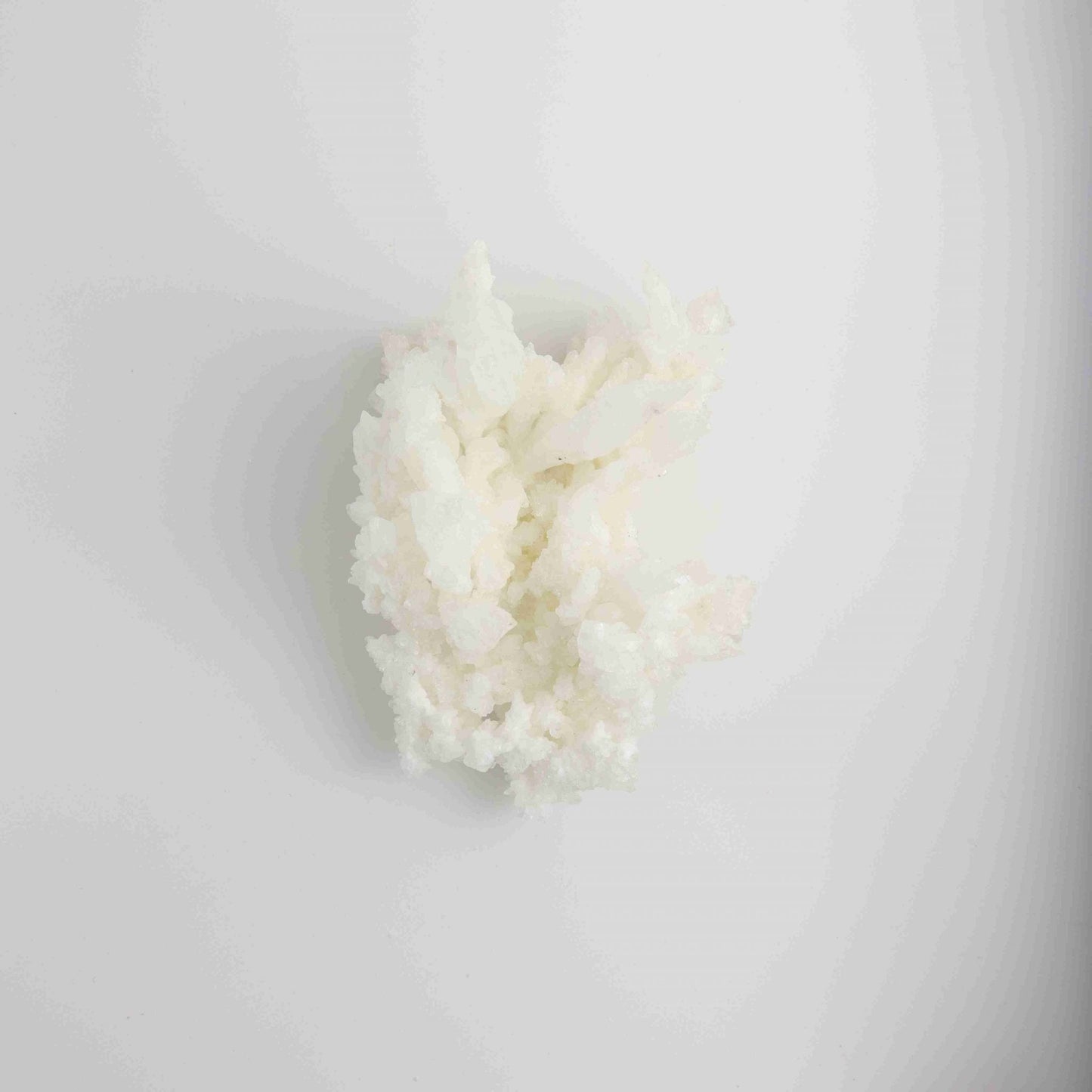 Mexican Aragonite - Expert Wholesale and Supplier of Wholesale Crystals & Bulk Gemstones, ["Mexico","Rough"]