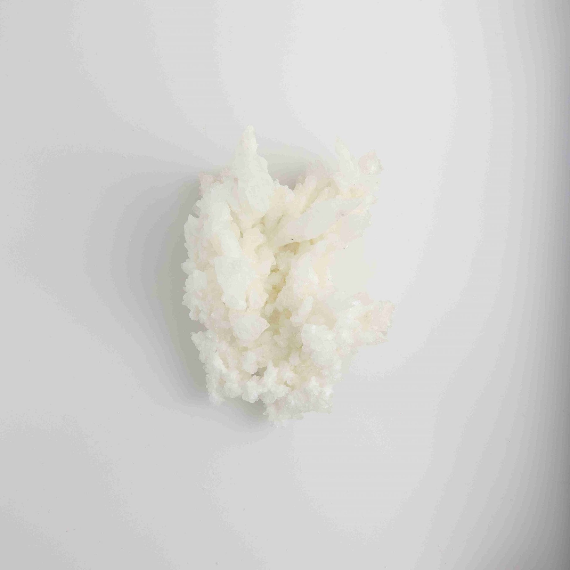 Mexican Aragonite - Expert Wholesale and Supplier of Wholesale Crystals & Bulk Gemstones, ["Mexico","Rough"]