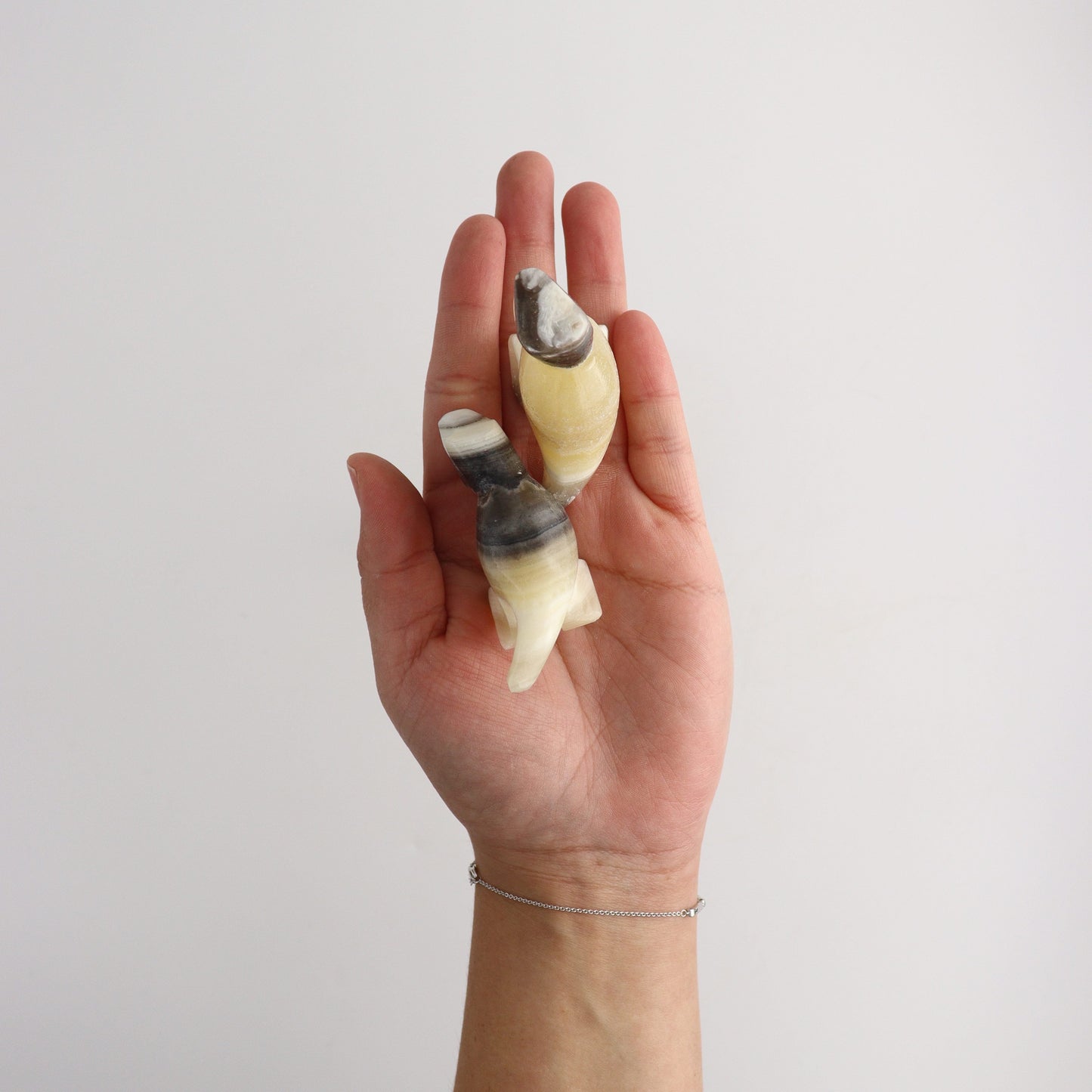 ONE Onyx T-Rex - Expert Wholesale and Supplier of Wholesale Crystals & Bulk Gemstones, ["Animal Carvings","Mexico","onyx"]