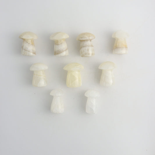 Onyx Mushroom - Expert Wholesale and Supplier of Wholesale Crystals & Bulk Gemstones, ["Mexico","Mixed Carvings","Onyx"]