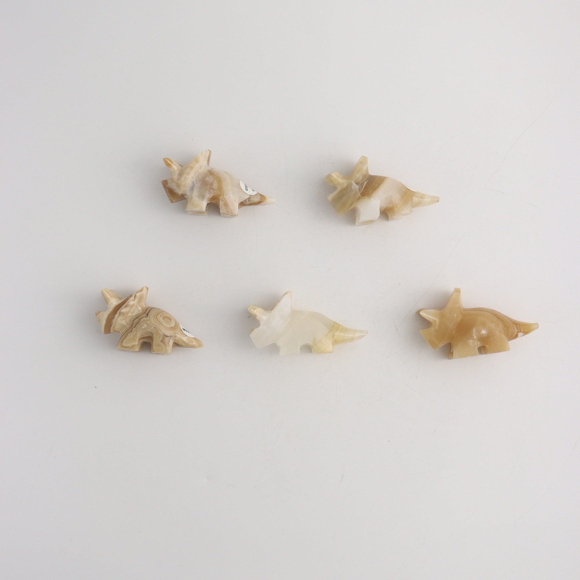 ONE Onyx Triceratops - Expert Wholesale and Supplier of Wholesale Crystals & Bulk Gemstones, ["Animal Carvings","Mexico","onyx"]