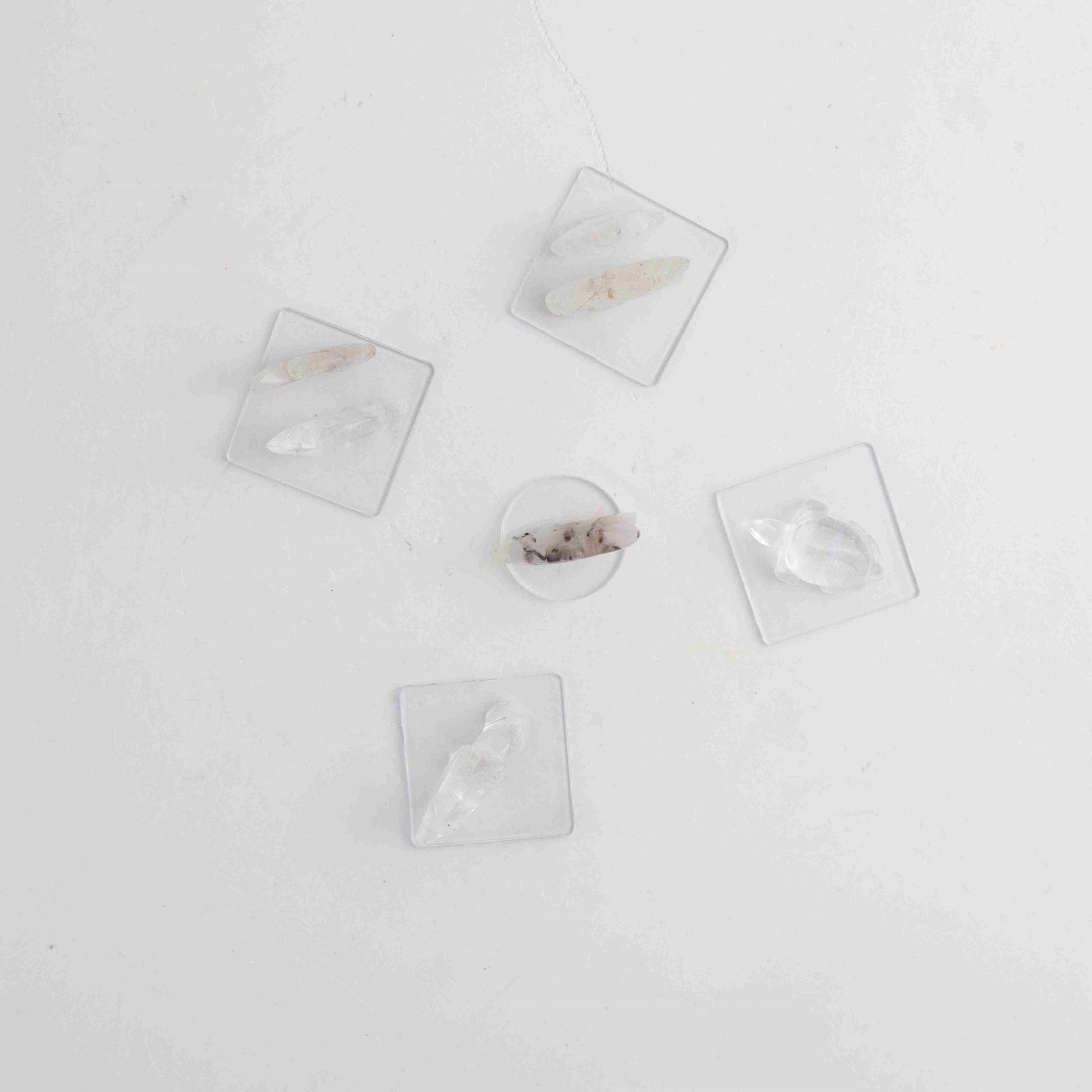 Rutiled Quartz Animals K - Expert Wholesale and Supplier of Wholesale Crystals & Bulk Gemstones, ["Animal Carvings","Brazil","Quartz","Rutiled Quartz"]