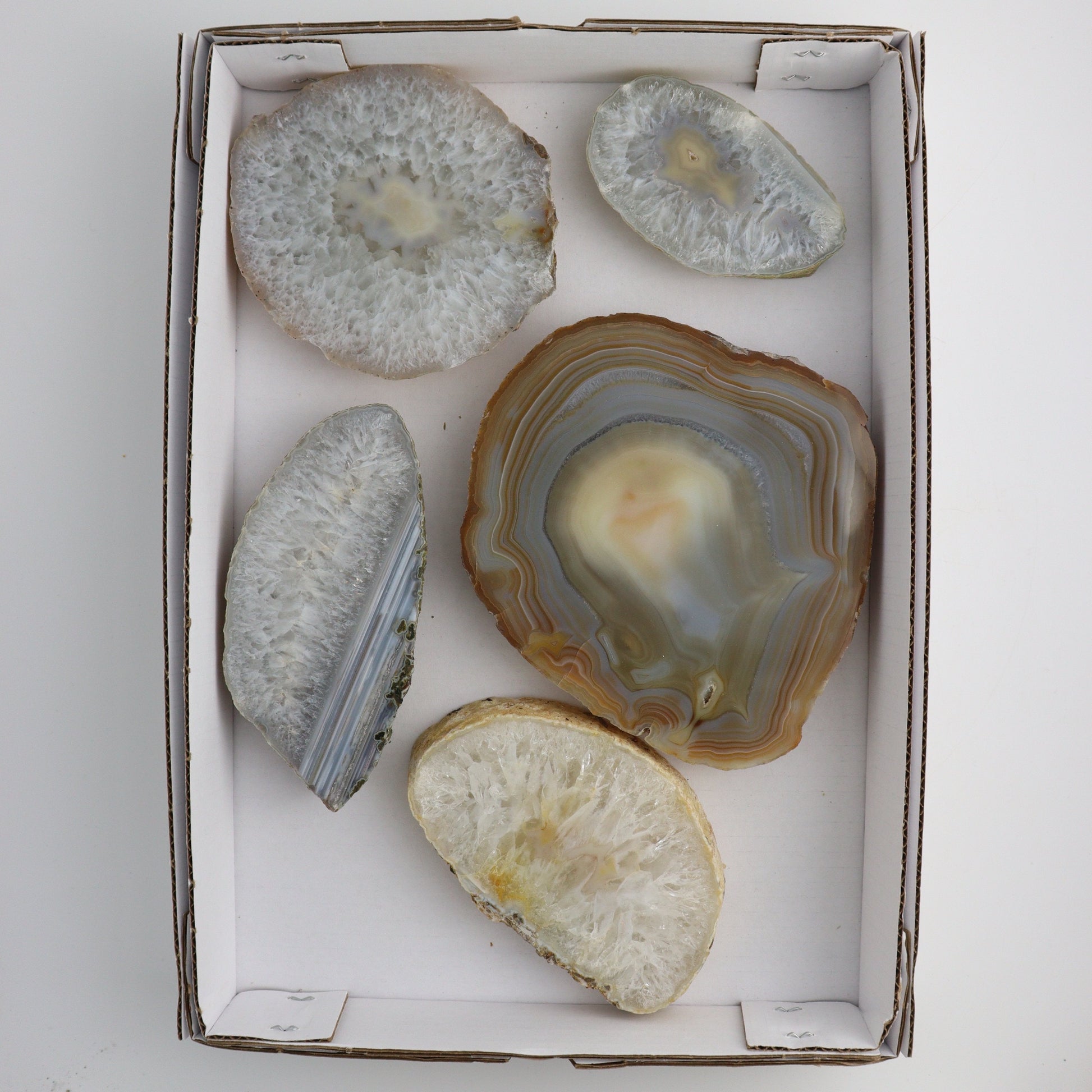 Thick Agate Slices - Mi Esperanza Minerals